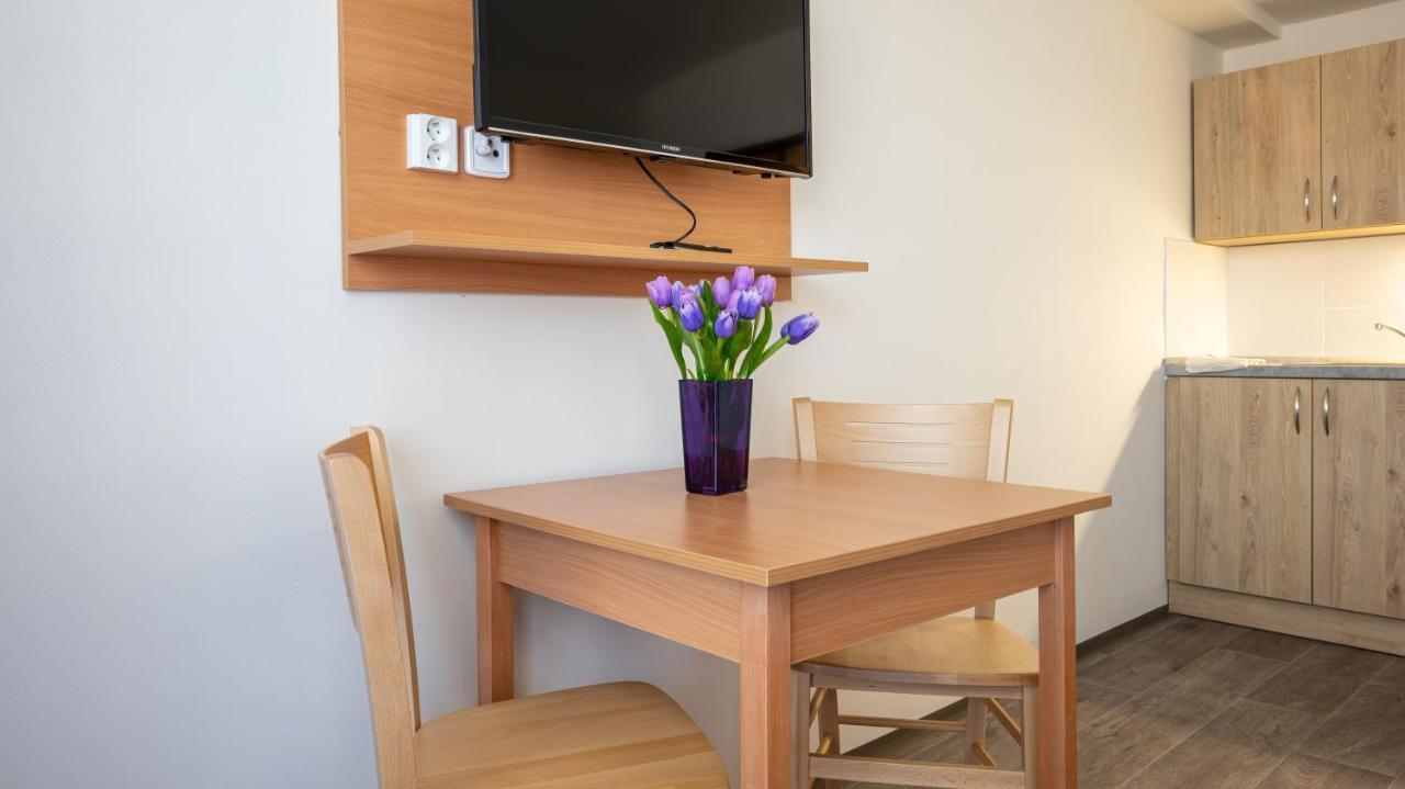 Apartmany A Studia Zamecky Park Литвинов Экстерьер фото